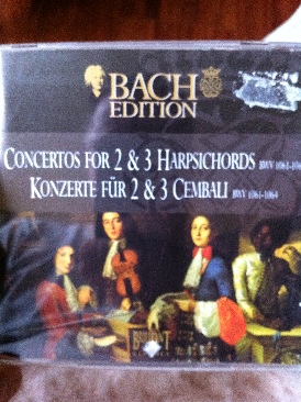 Vogelbeobachtung Im Winter