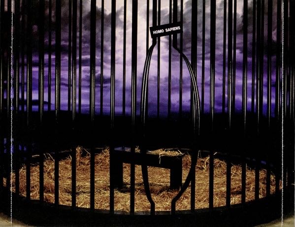 Pure Instinct - Scorpions (CD - 51) music collectible [Barcode 075678291326] - Main Image 4