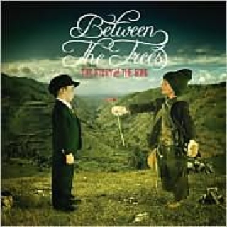 The Story and the Song - Between The Trees (CD) music collectible [Barcode 602517686847] - Main Image 1