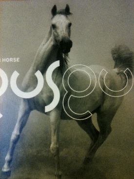 Dreaming In Romance Languages -