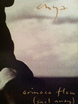 Seven and the Ragged Tiger