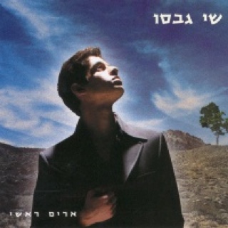 The Avalanche: Outtakes and Extras from the Illinoise Album