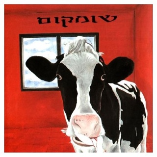 Sorry For Party Rocking