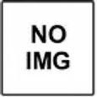 The Big Bang: The Best of the MC5