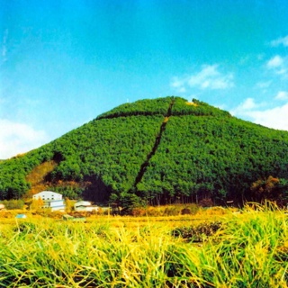 Eddie and the Cruisers II: Eddie Lives!