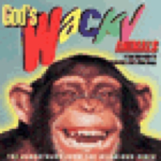 Andy Williams His Greatest Hits And Finest Performances