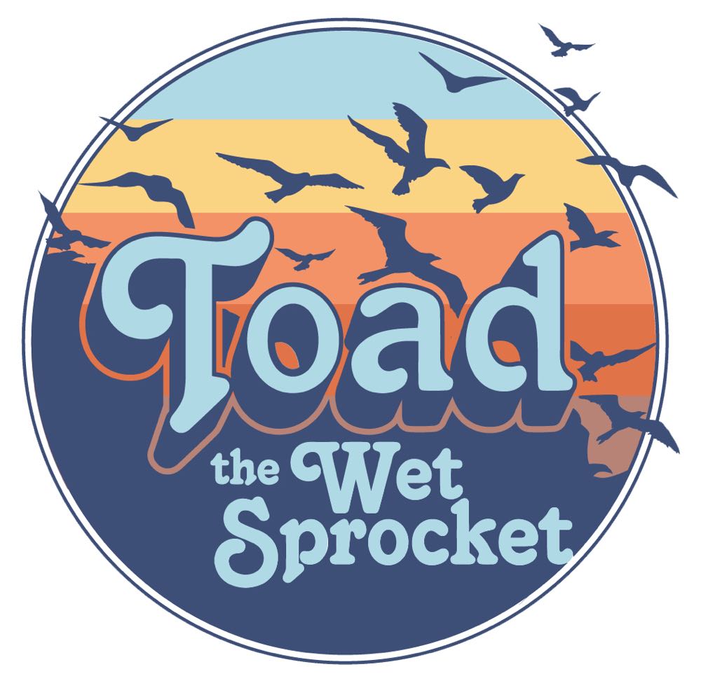 Coil - Toad The Wet Sprocket (CD - 44) music collectible [Barcode 074646786222] - Main Image 3