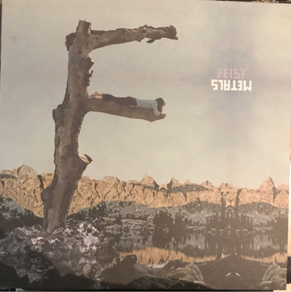 Cave Of Forgotten Dreams