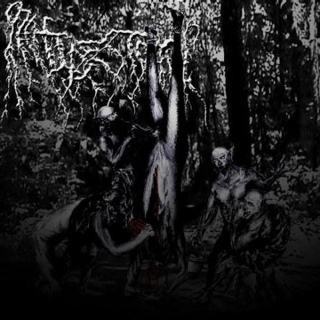 A Prelates Attrition - Orchidectomy (CD) music collectible [Barcode 826516002297] - Main Image 1