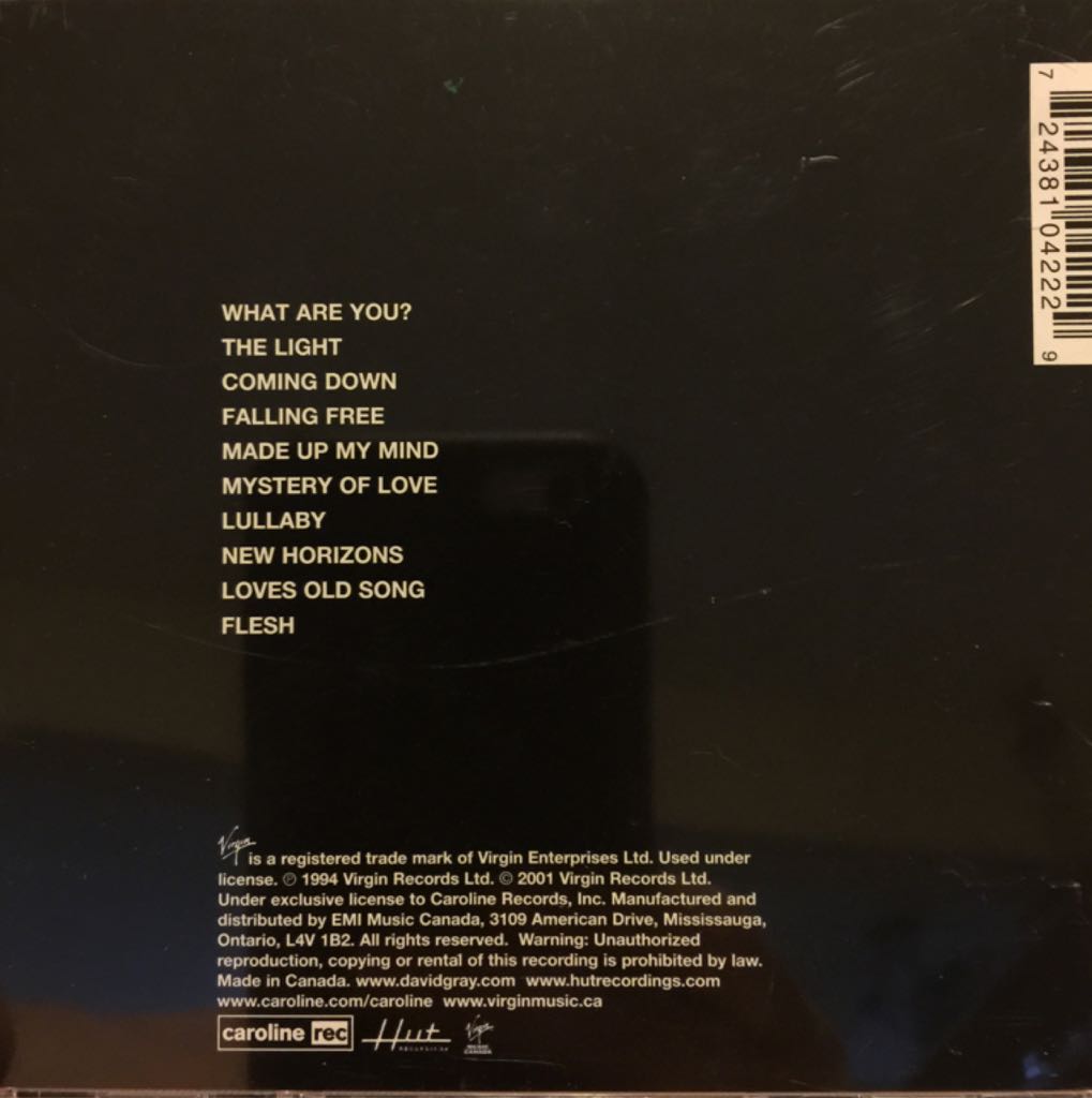 Flesh - David Gray (CD - 45:18) music collectible [Barcode 724381042229] - Main Image 2