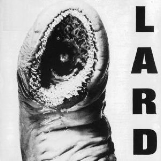 The Best Of Diana King