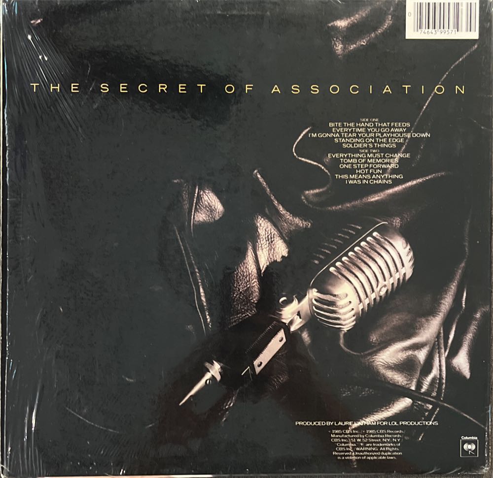 The Secret Of Association - Paul Young (12” - 40) music collectible [Barcode 061213399572] - Main Image 2