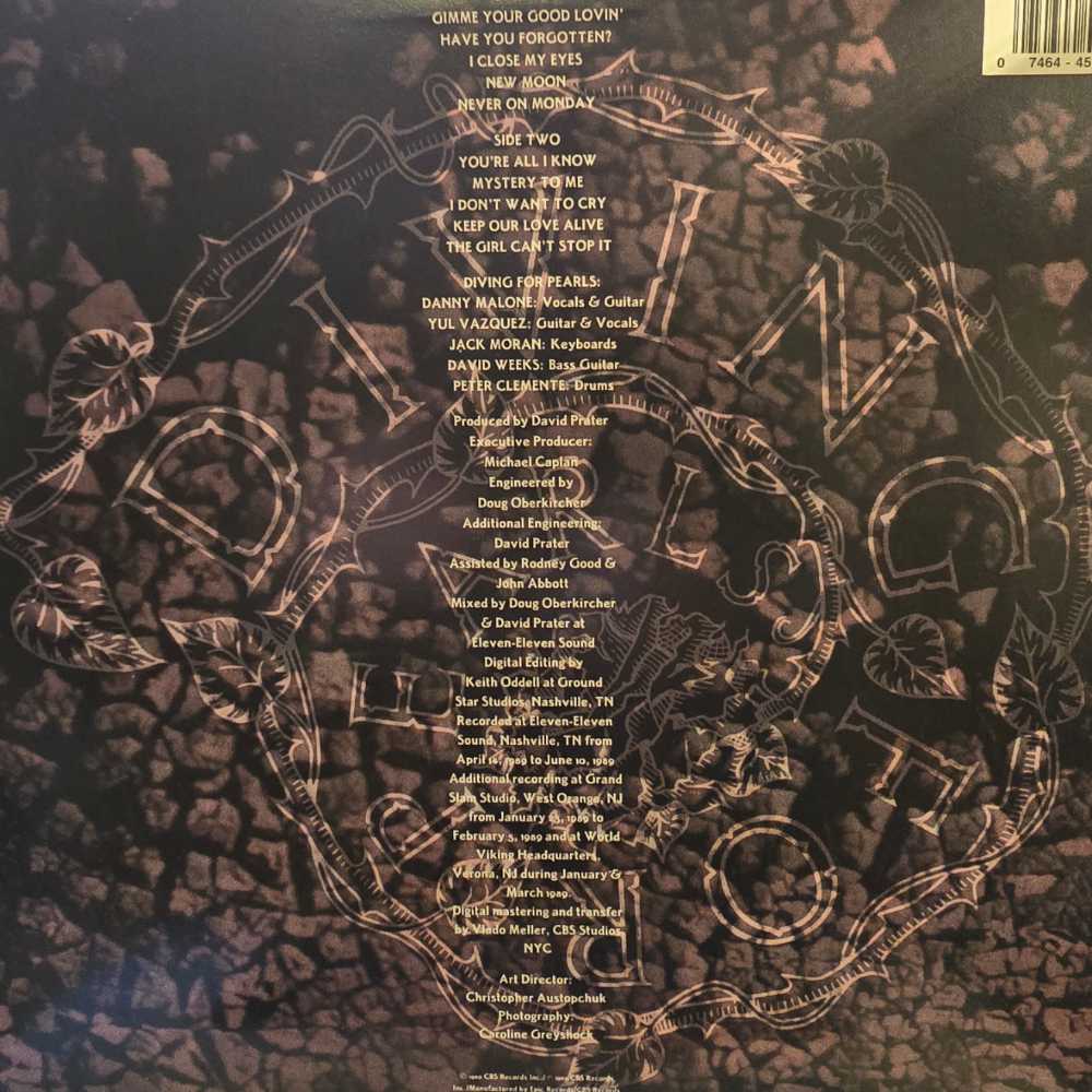 Diving For Pearls - Diving For Pearls (12”) music collectible [Barcode 074644513011] - Main Image 2
