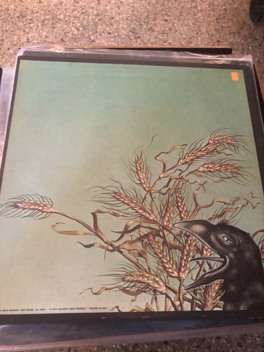 Wake Of the Flood - Grateful Dead (12” - 45) music collectible - Main Image 2