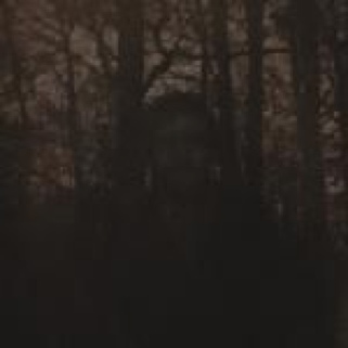 A Night Before Christmas