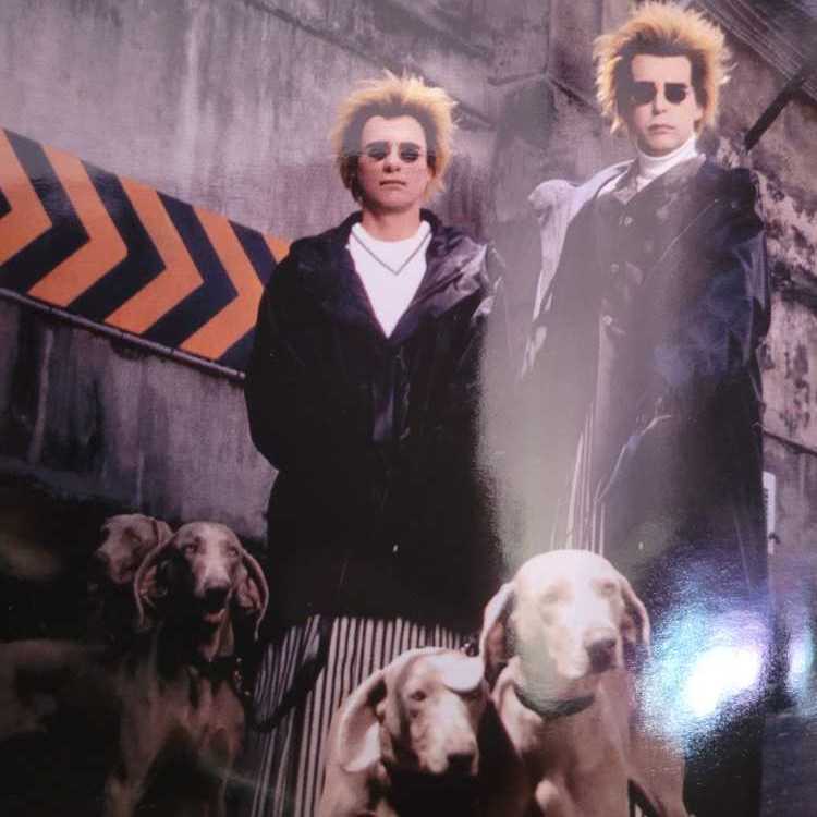 Nightlife - Pet Shop Boys (CD - 53) music collectible [Barcode 724352185726] - Main Image 4