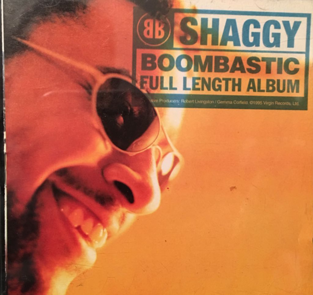 Famous Blue Raincoat