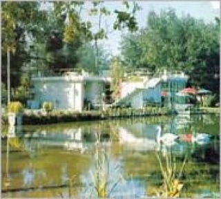 Sisters and Brothers