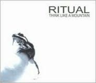 Chase the Buffalo - Want For Box1