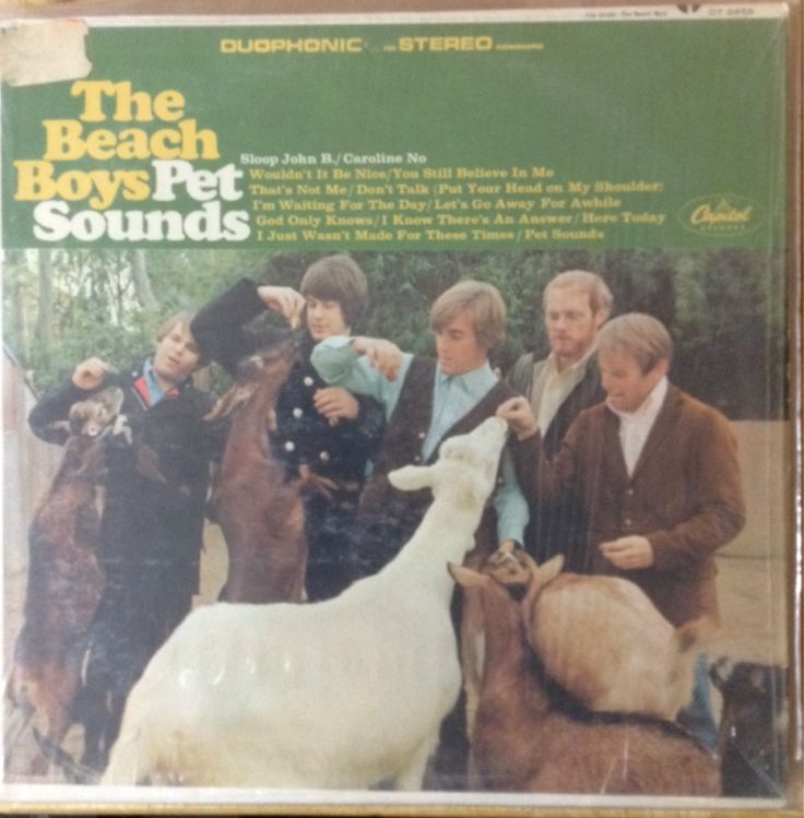 Lord Of Earth And Heavens Heir