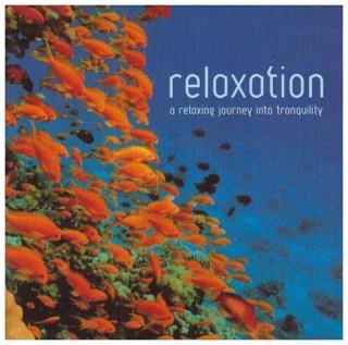 No Place For Disgrace