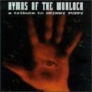 Der König der Löwen