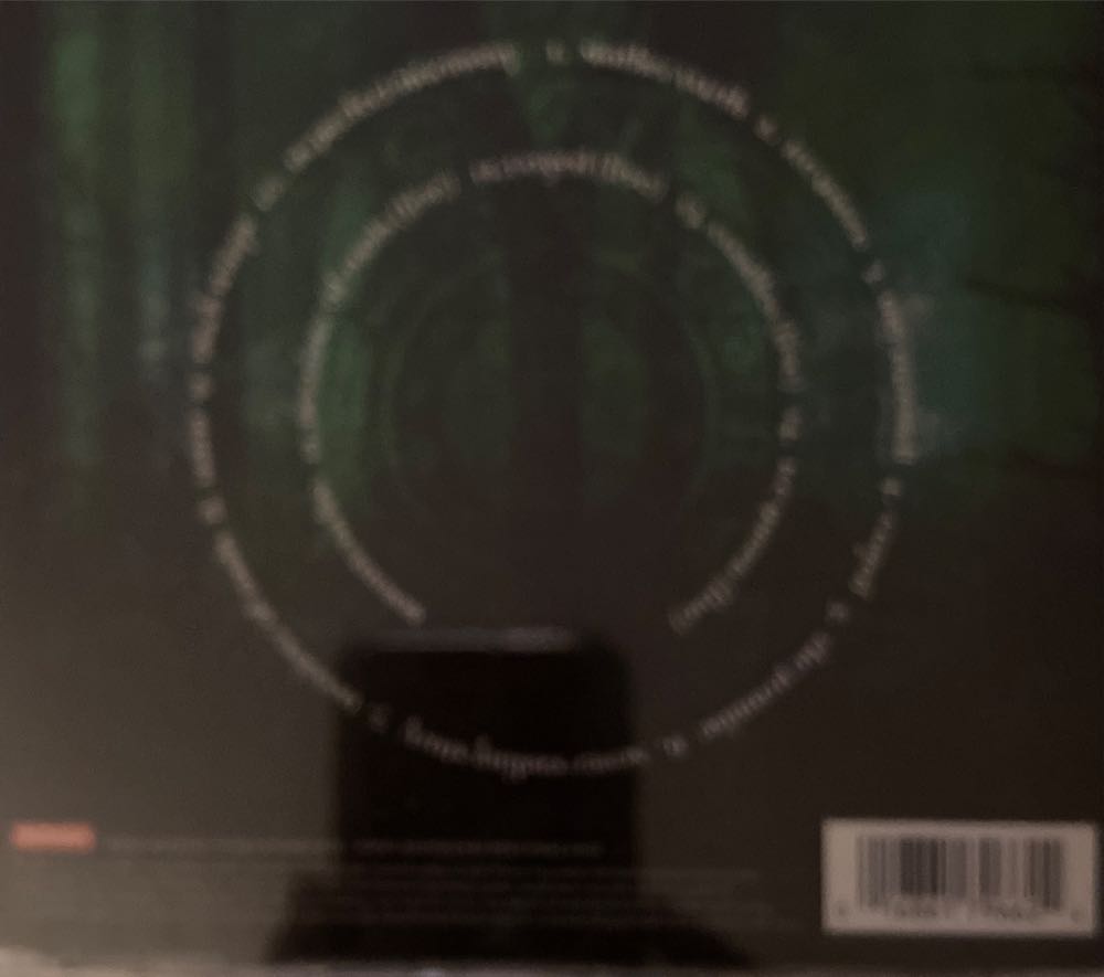 Mother Earth - Within Temptation (CD - 62) music collectible [Barcode 016861796624] - Main Image 2