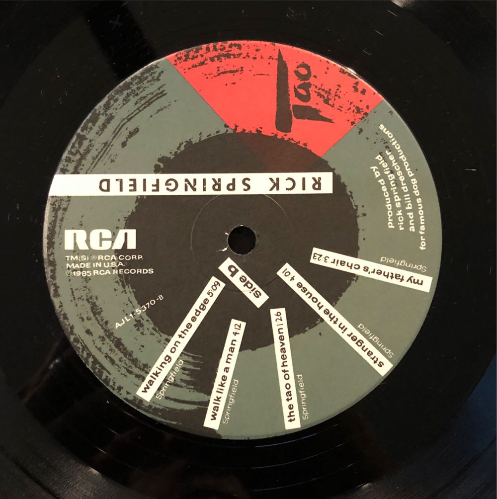 Tao - Rick Springfield (12”) music collectible [Barcode 078635537017] - Main Image 4