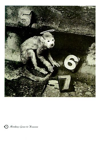 Doolittle - Pixies (12” - 3838) music collectible - Main Image 2