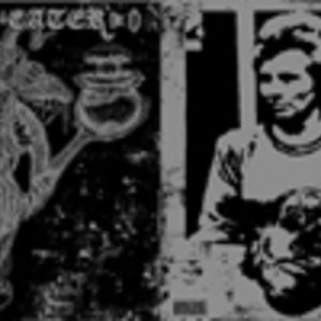 Die Spur der Füchse