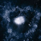 For The Sake Of The Call