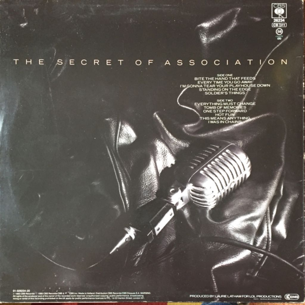 The Secret of Association - Young, Paul (12”) music collectible [Barcode 074643995719] - Main Image 2