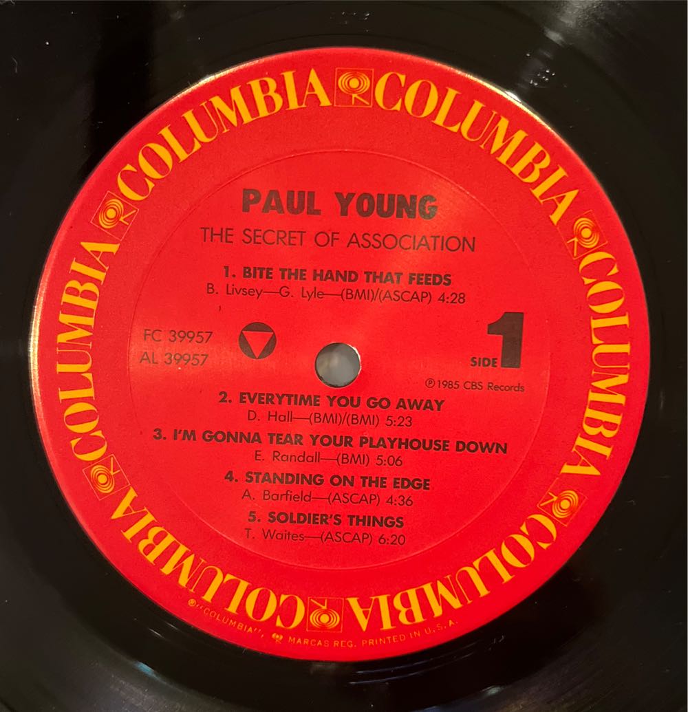 The Secret of Association - Young, Paul (12”) music collectible [Barcode 074643995719] - Main Image 3