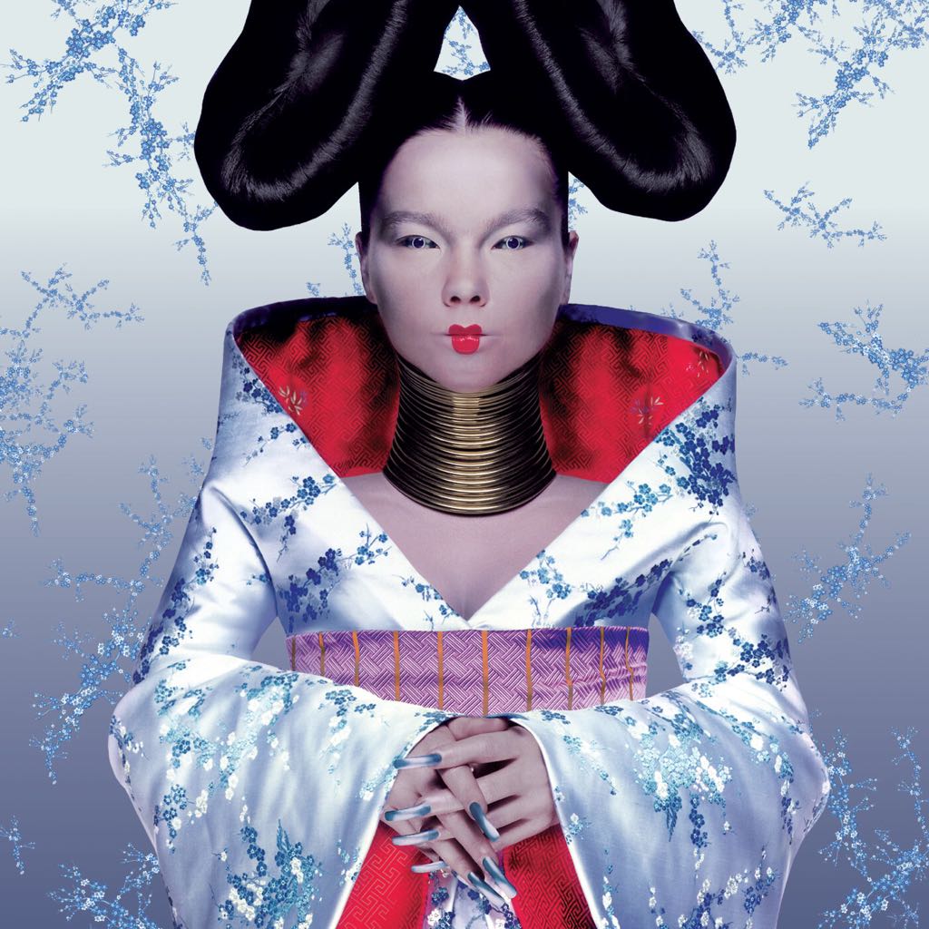 Homogenic - Bjork (12”) music collectible [Barcode 5016958998639] - Main Image 1
