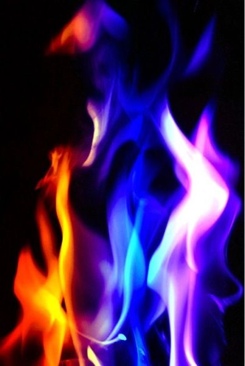 Image 1301758