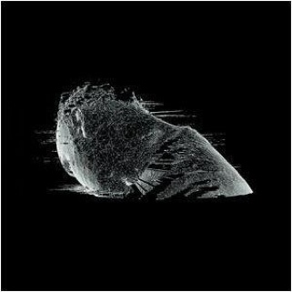The Scientist - Coldplay (DVD-A) music collectible [Barcode 124349028898] - Main Image 1