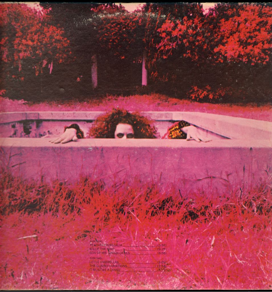 Hot Rats - Frank Zappa (12” - 4715) music collectible - Main Image 2