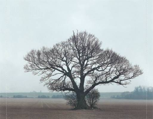 Wigan Pier Presents: BounceVol. 2