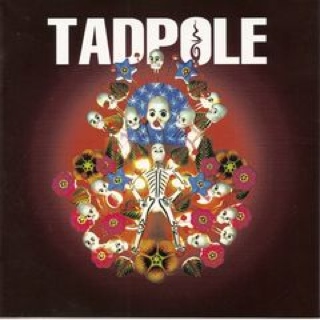 Tadpole - Tadpole (CD) music collectible [Barcode 793573603562] - Main Image 1
