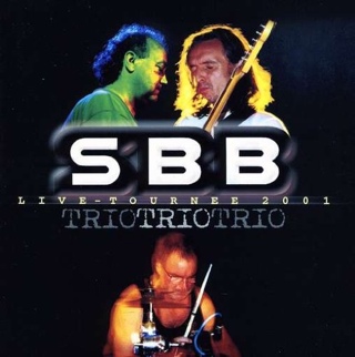 We Dreamed These Days