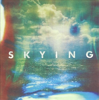 Skying - Horrors, The (CD) music collectible [Barcode 634904053925] - Main Image 1