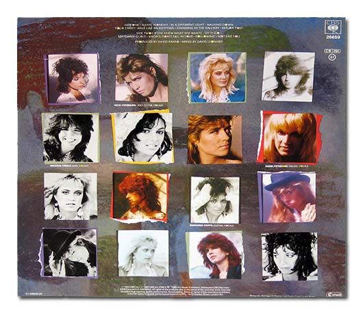 Different Light - Bangles, The (12” - 39) music collectible - Main Image 2