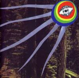 Big Love in a Small Town