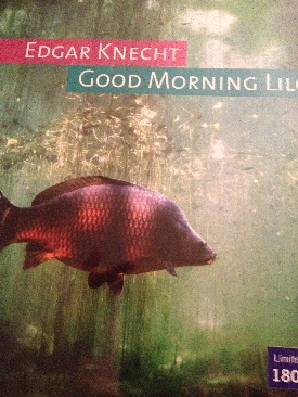 Rock And Roll Tonight