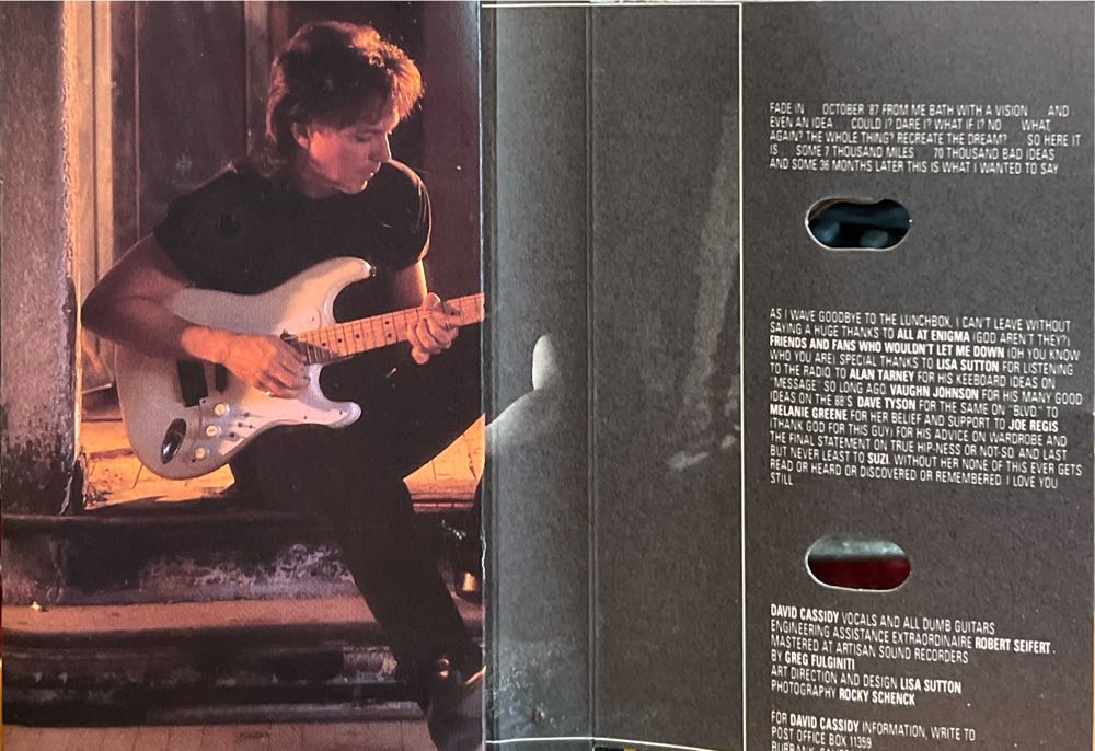 David Cassidy - Cassidy, David (Cassette) music collectible [Barcode 018777355445] - Main Image 2