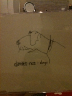 I’m Afraid Of Americans