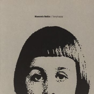 Chinese Democracy (vinyl)