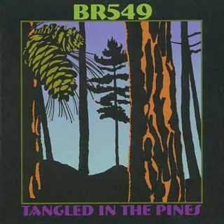 Tangled in the Pines (MP3) - BR5-49 (CD) music collectible [Barcode 803020114920] - Main Image 1