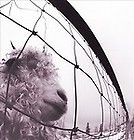 Vs. - Pearl Jam (12” - 46) music collectible [Barcode 886978431318] - Main Image 1