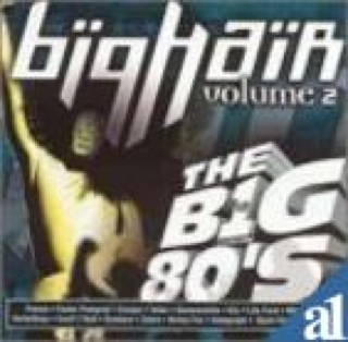 Vh-1: The Big 80S Big HairVol. 2 - Various Artists (CD) music collectible [Barcode 081227434922] - Main Image 1